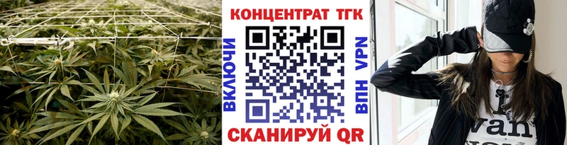закладка  Новоузенск  ТГК Wax 