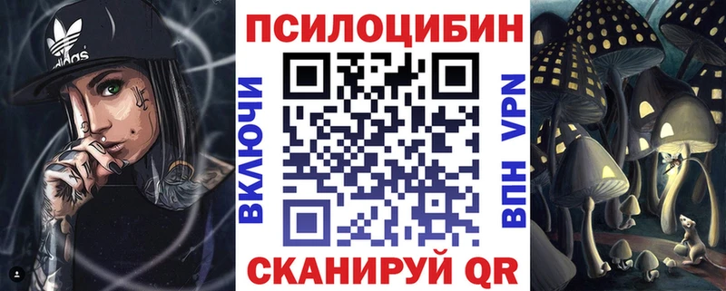 Псилоцибиновые грибы Psilocybine cubensis  Новоузенск 